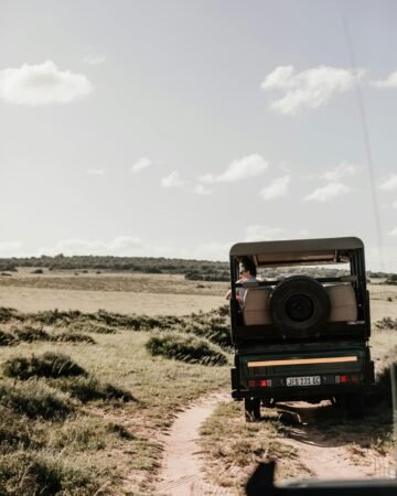 Jeep Tour