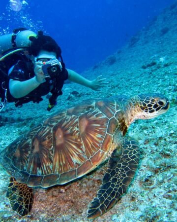 Scuba Diving